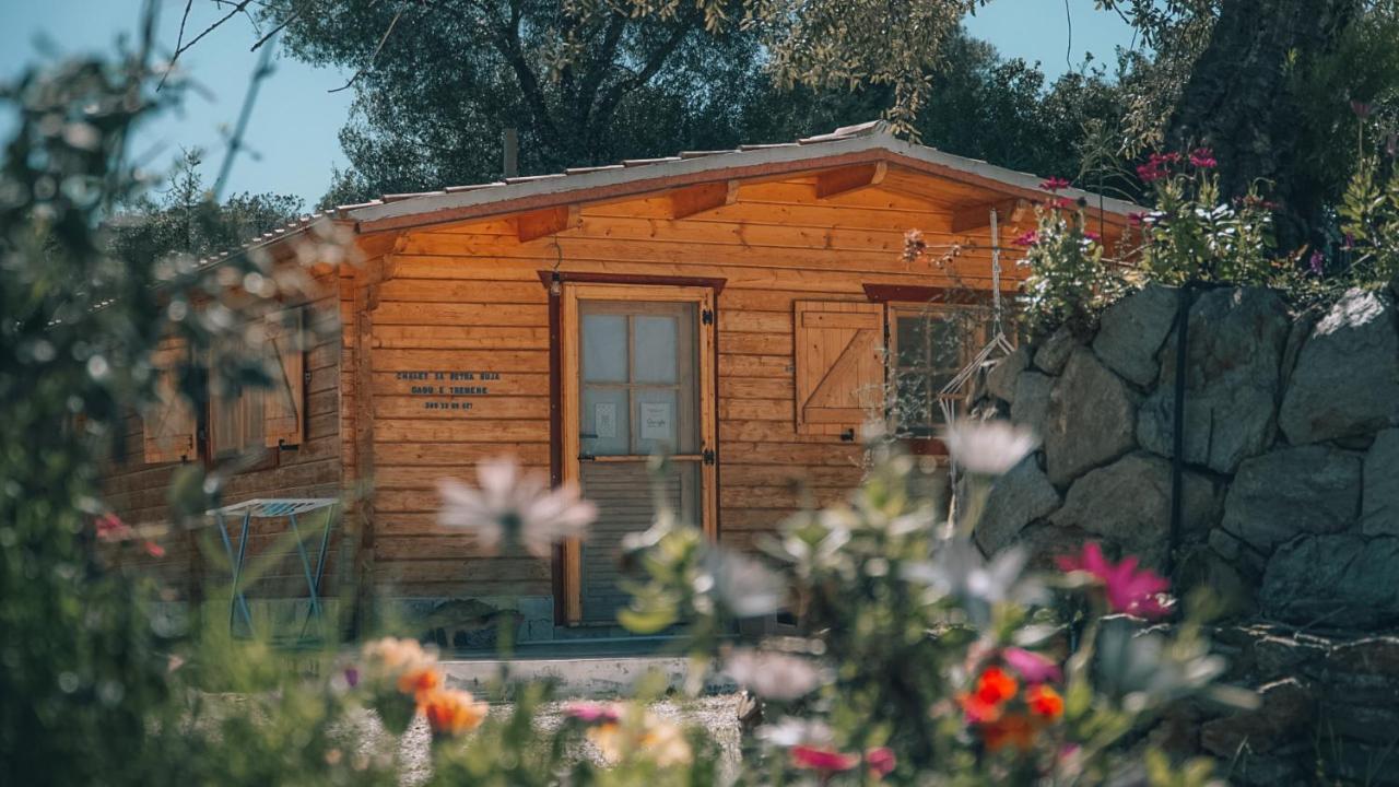 Chalet Sa Petra Ruja - Gadu E Tremene Сініскола Екстер'єр фото